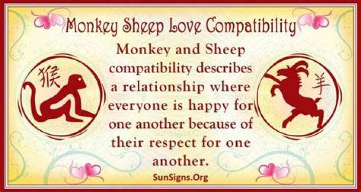 Monkey And Sheep Compatibility: Fun-Loving