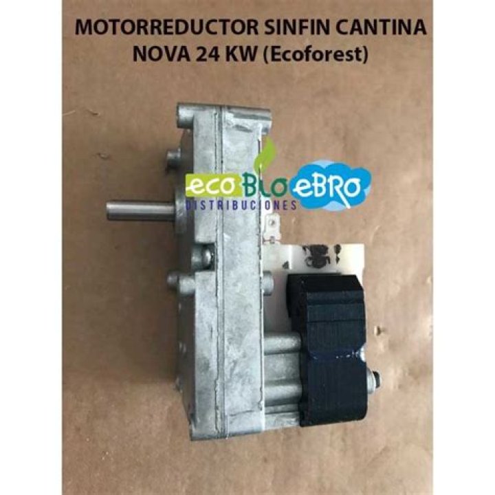 MOTORREDUCTOR SINFIN CANTINA NOVA 24 KW (Ecoforest)