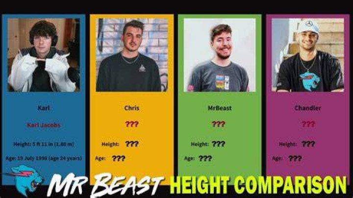 MrBeast Team Members Height Comparison 2022 YouTube