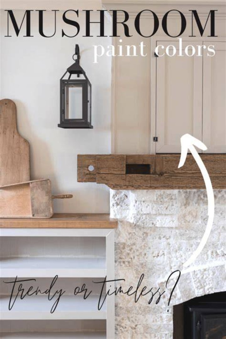 Mushroom Paint Colors Trendy or Timeless? Pine and Prospect Home