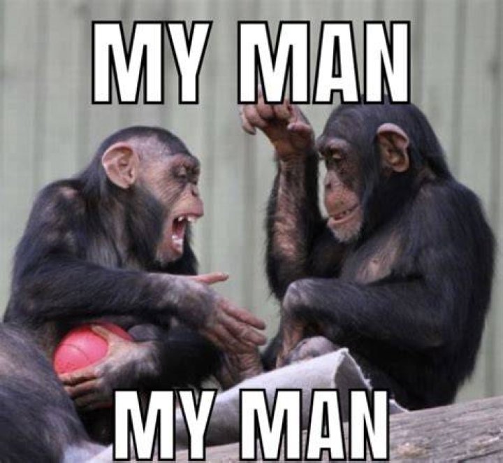 My man Meme by OkBoom_ ) Memedroid