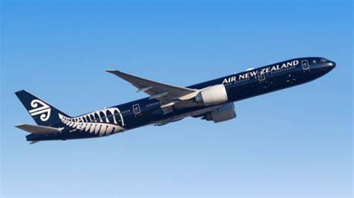 New Flight for a New &lsquo;Butterfly&rsquo; The New York Times
