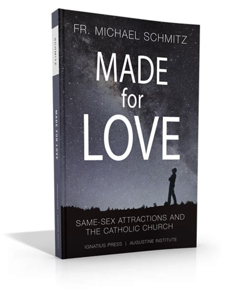 New Fr. Mike Schmitz Book. Made for Love. View Book Sample Rosary of