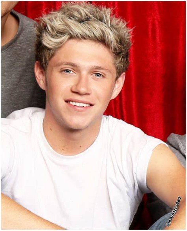 Niall Horan 2013 One Direction Photo (35380911) Fanpop