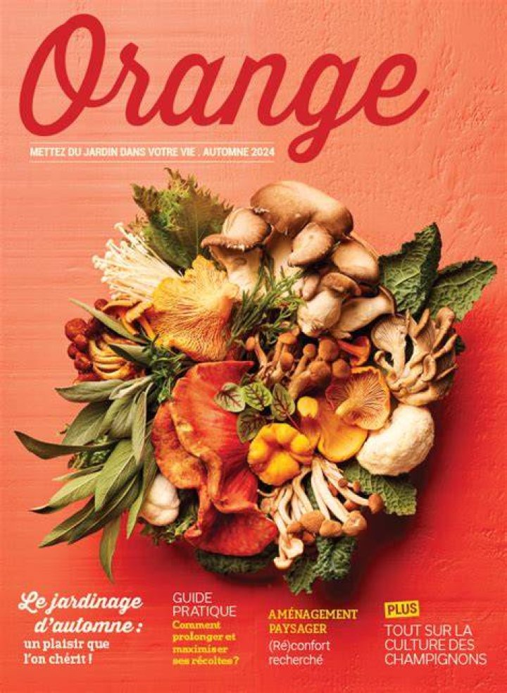 NicoandVinz Orange Magazine