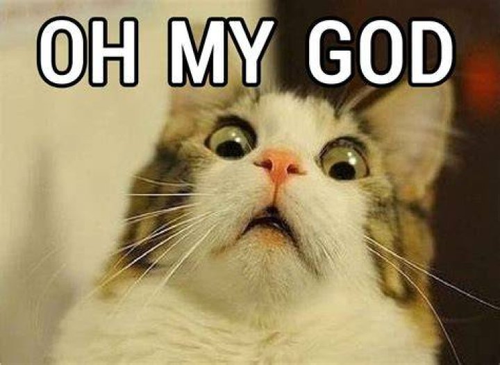 Oh My God I Almost Died (Workaholics) Trending Images Gallery (List