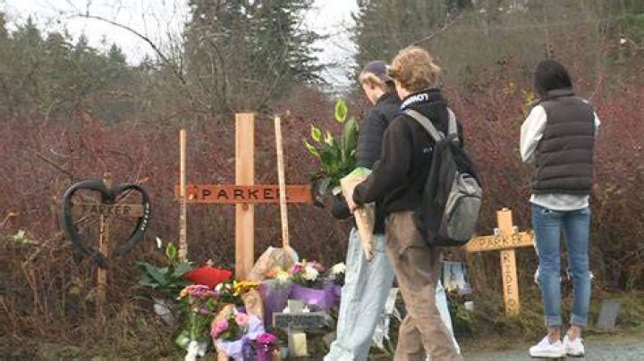 Parker Amann Nanaimo BC Accident Death And Obituary RIP