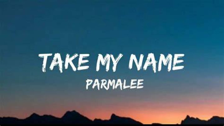 PARMALEE- Take My Name (Visualizer) - country songs with girl names in the title