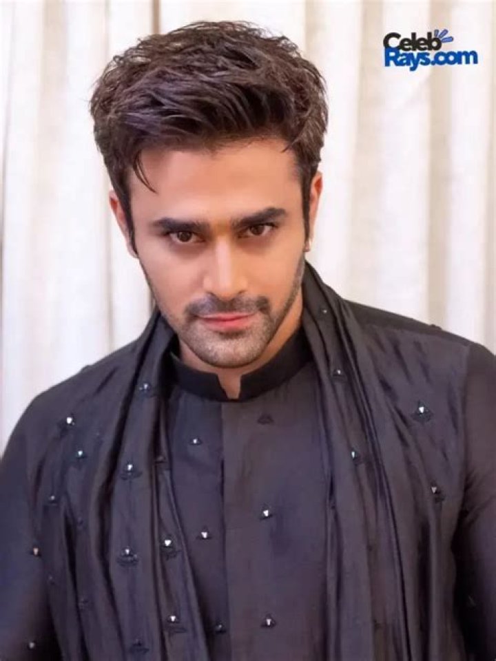 Pearl V Puri Net Worth