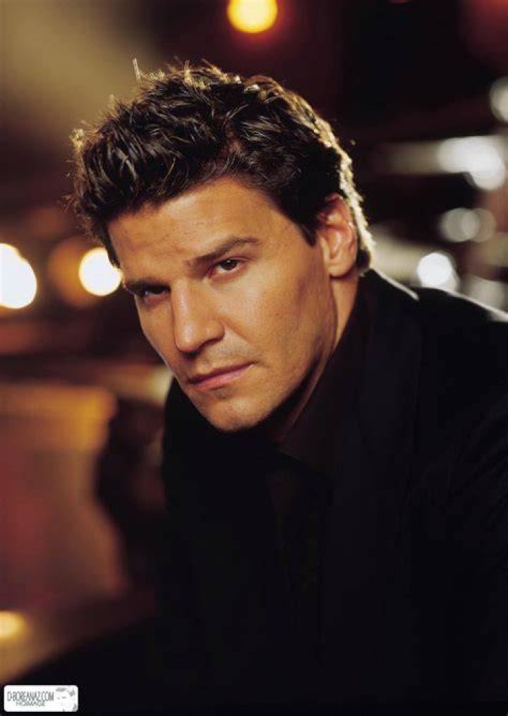 Photo de David Boreanaz Photo David Boreanaz AlloCin&eacute;