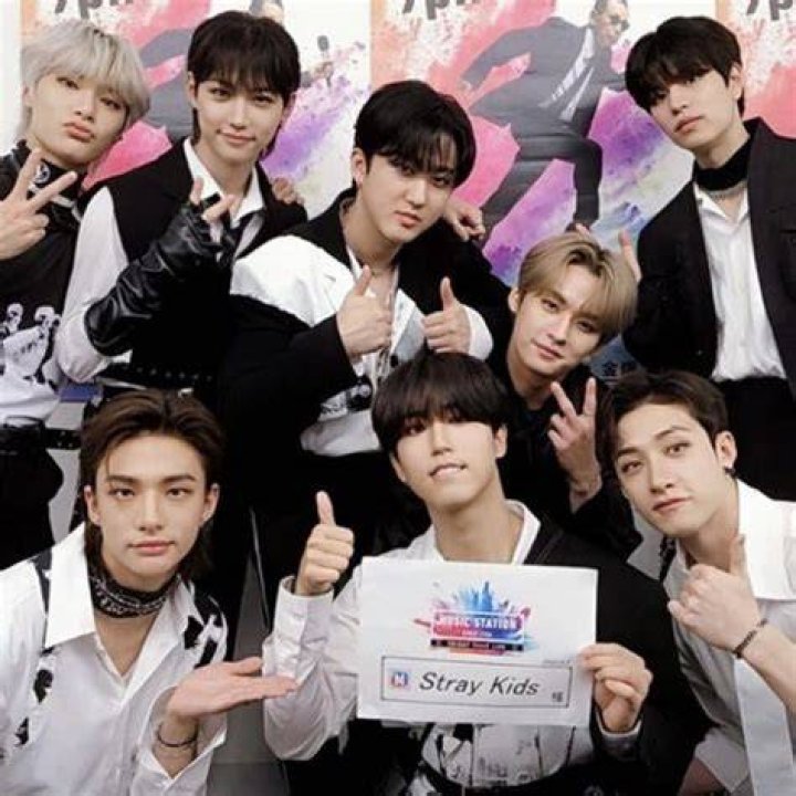 Pin en STRAY KIDS``