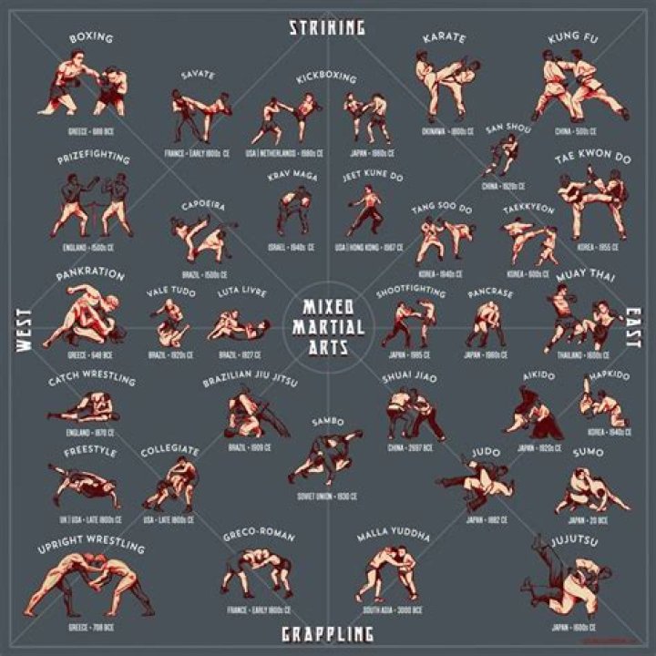 Pin on Mixed Martial Arts