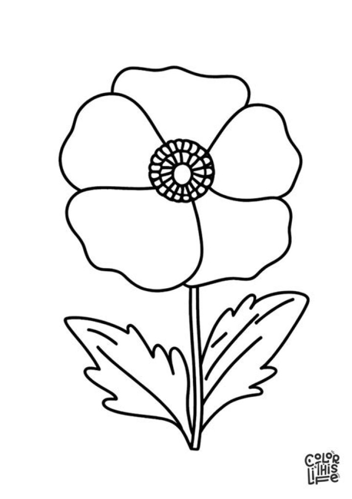 Poppy Coloring Page, Colouring Pages, Trolls Birthday Party, Birthday
