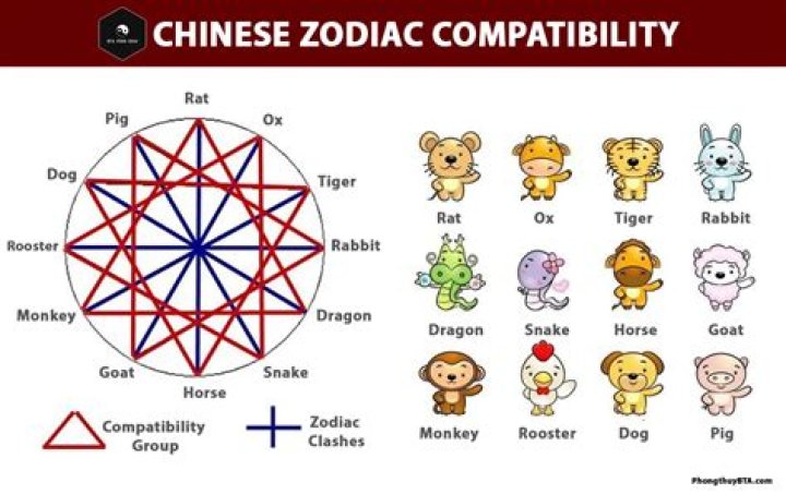 PulseVibe | Chinese Dog Horoscope Compatibility