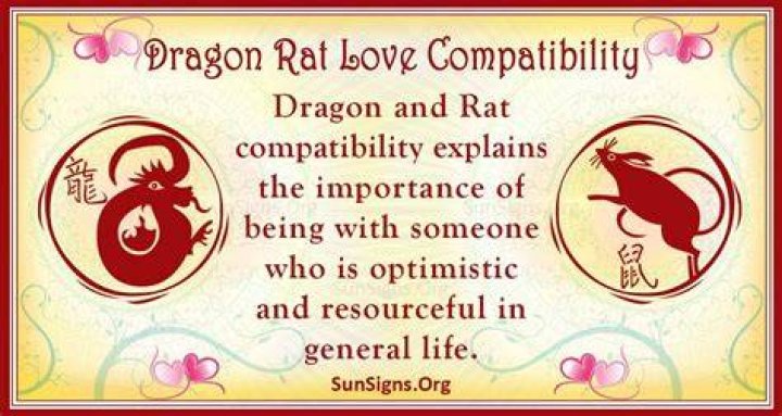 rat dragon compatibility