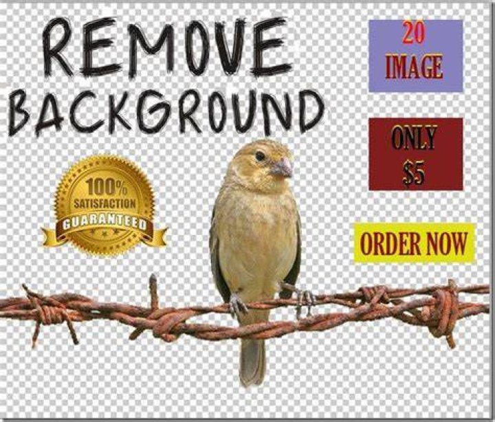 Redwanhemel I will remove background of 20 images manually within 12