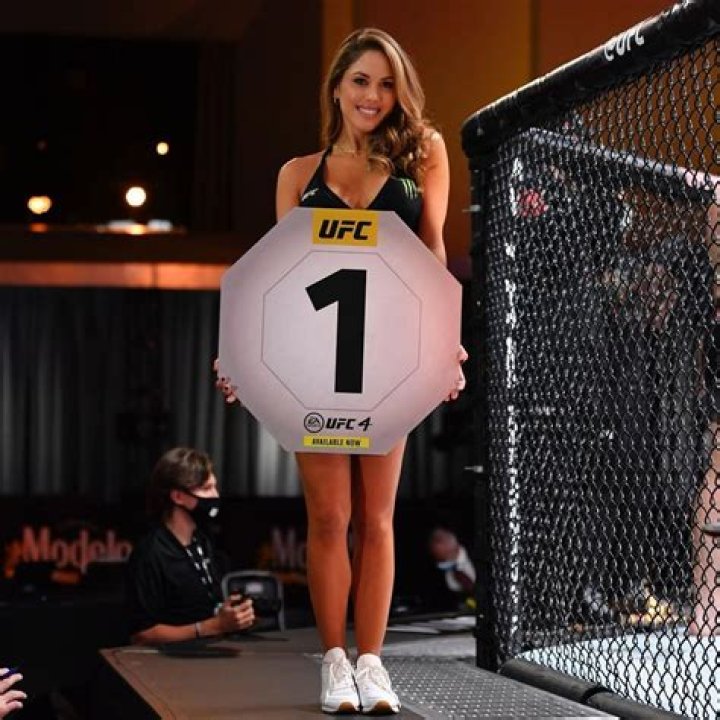 Report UFC ring girl Brittney Palmer's husband won't be charged with