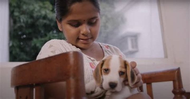 Review Of Vijay Sethupathi&rsquo;s Mughizh A Sweet Little Children&rsquo;s Film
