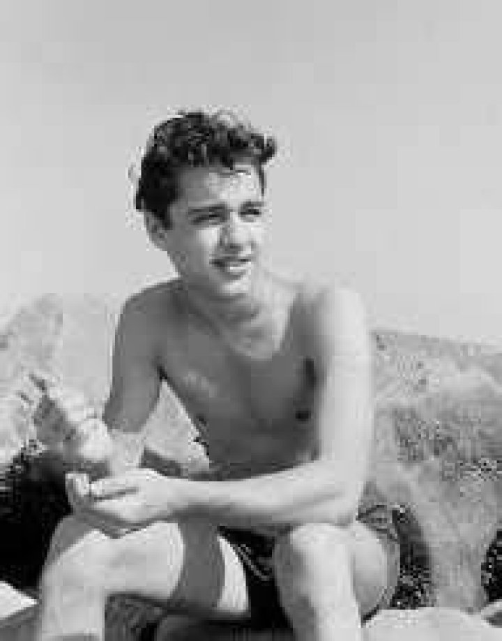 Sal Mineo Biography, Life, Interesting Facts