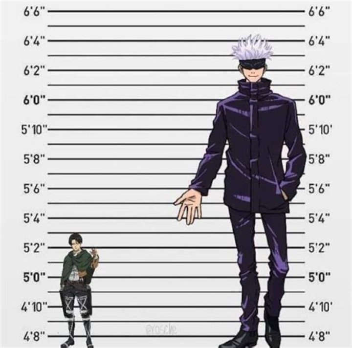 Satoru Gojo Height His glasses and personality make him one of the