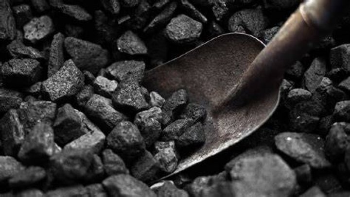 Secrets Of A Coal Magnate Revealed