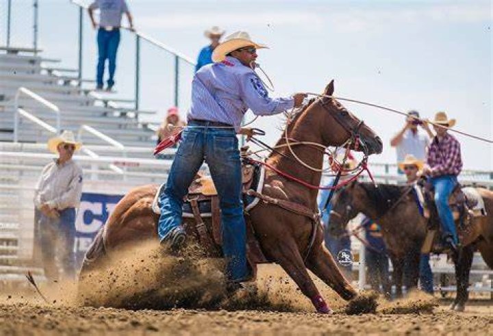 Shad Mayfield Med Vet Pharmaceuticals