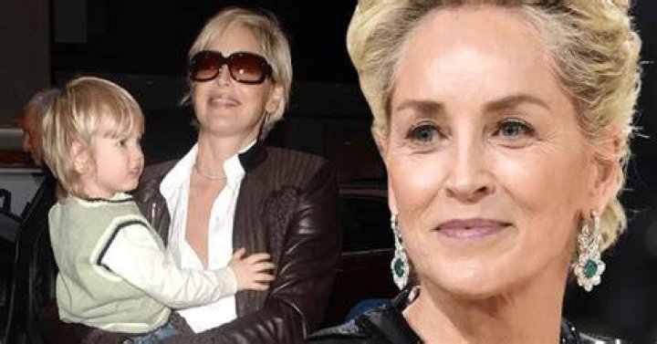 Sharon Stone Once Lost Custody of Eldest Son &mdash; a Look Back at Her Legal