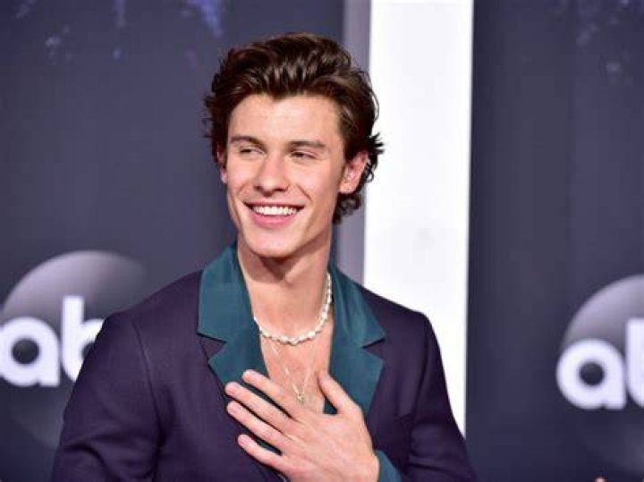 Shawn Mendes Age, Net Worth, Girlfriend, Family, Bio, Height