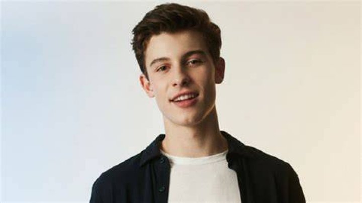 Shawn Mendes Opened Up About How He Journals Teen Vogue