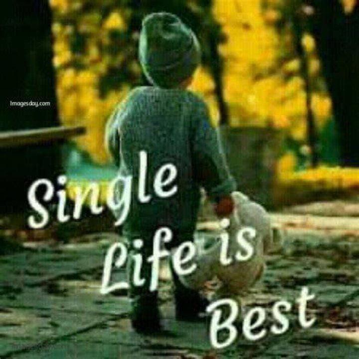 Single Life Wallpapers Top Free Single Life Backgrounds WallpaperAccess