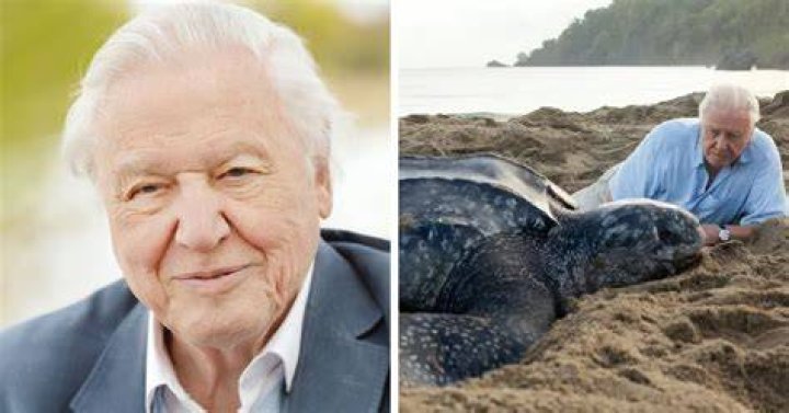 Sir David Attenborough is teaching kids geography online through BBC's