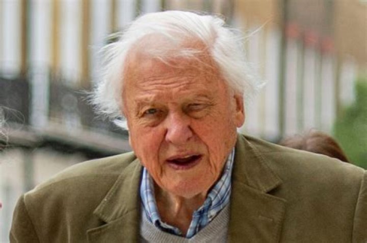 Sir David Attenborough makes shock bid to have Christmas No1 single