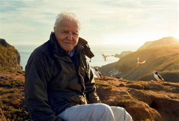Sir David Attenborough warns we have a few short years left to fix