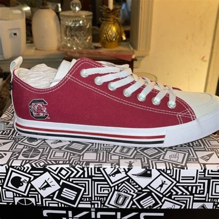 SKICKS