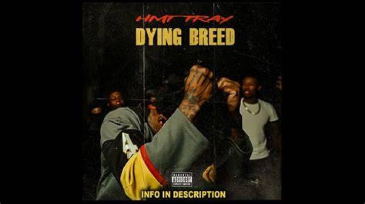 Skilibeng [Type Beat] Dying Breed 💊 Dancehall Riddim 2021 YouTube