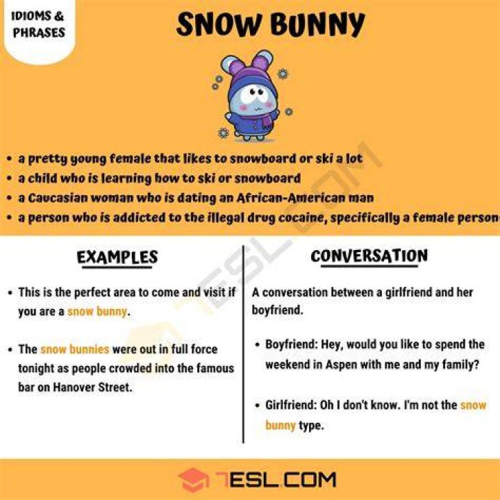 snow bunny Meaning & Origin Slang by