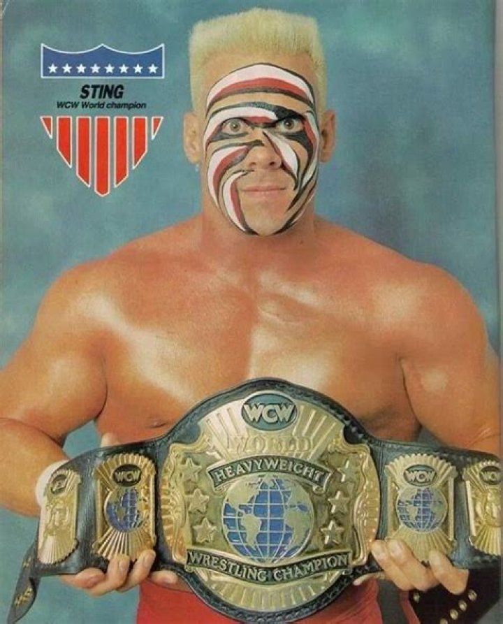 Sting WCW World Champion World championship wrestling, Wrestling wwe