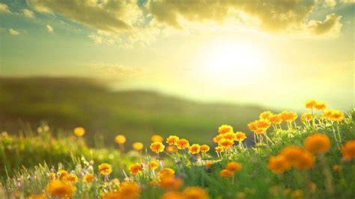 Summer starts early as sunshine hits Surrey Surrey Live