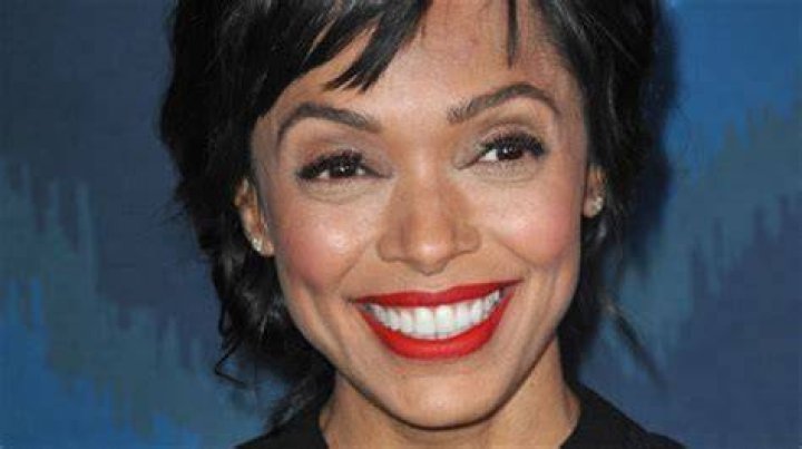 Tamara Taylor Bio, Net Worth, Age, Divorced, Height, Ethnicity, Career