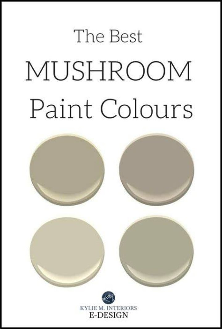The 5 Best MushroomInspired Paint Colours Benjamin and Sherwin