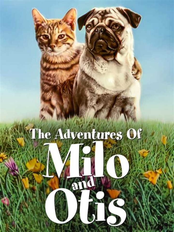 The Adventures of Milo and Otis (1986) Posters &mdash; The Movie Database