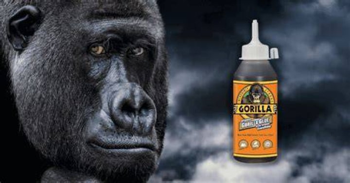 The Gorilla Glue Incident And Its Surprising Revelations