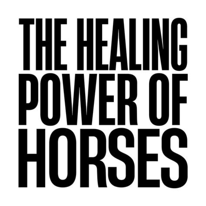 The Healing Power of Horses How Equine Therapy Benefits Veterans