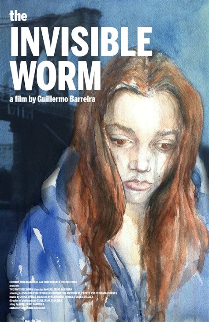 The Invisible Worm (2017)