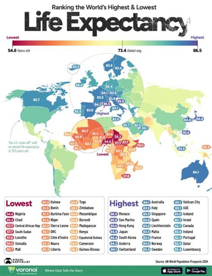 The Longest Life Expectancy Average Life Of A Sausage Dog