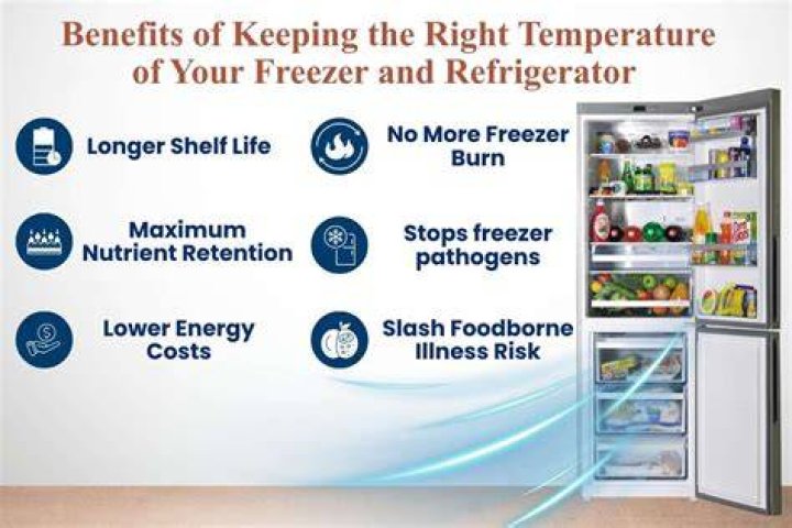 The Right Temperature for Your Refrigerator and Freezer Real Simple