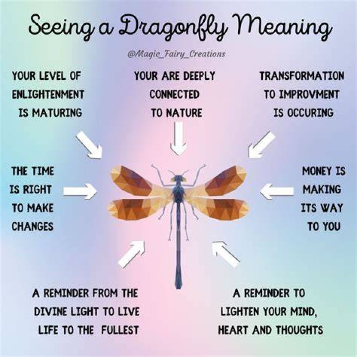 The Symbolism of a Dragonfly Visiting You