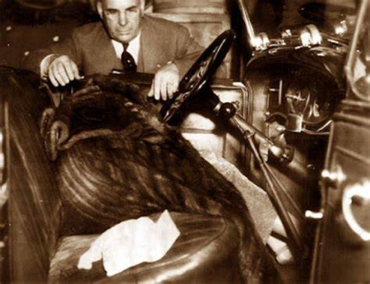 The Tragic Death of Thelma Todd ReelRundown