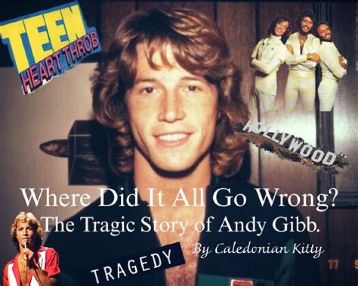 The Tragic Story Of Andy Gibb's Daughter Poor Baby Bee Gee YouTube