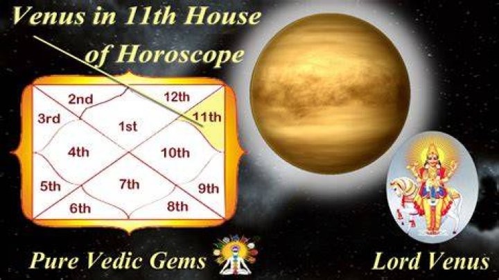 The Venus In 11th House